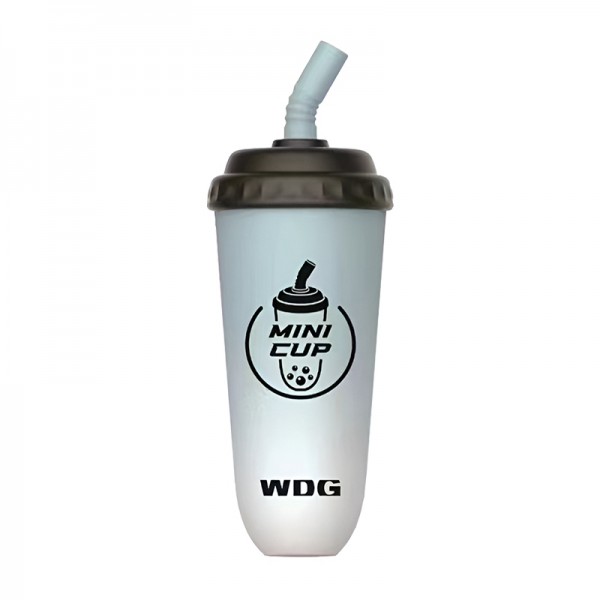 WDG Mini Cup Einweg-E-Zigaretten 5000 Züge – Eiswasser