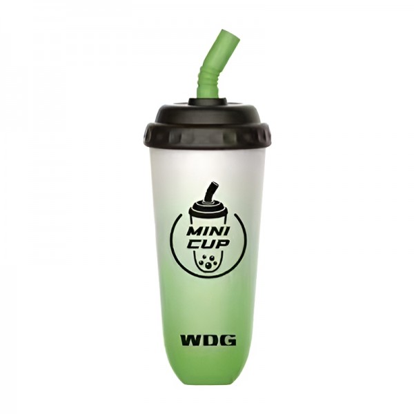 WDG Mini Cup Einweg-E-Zigaretten 5000 Puffs – Kokoswasser